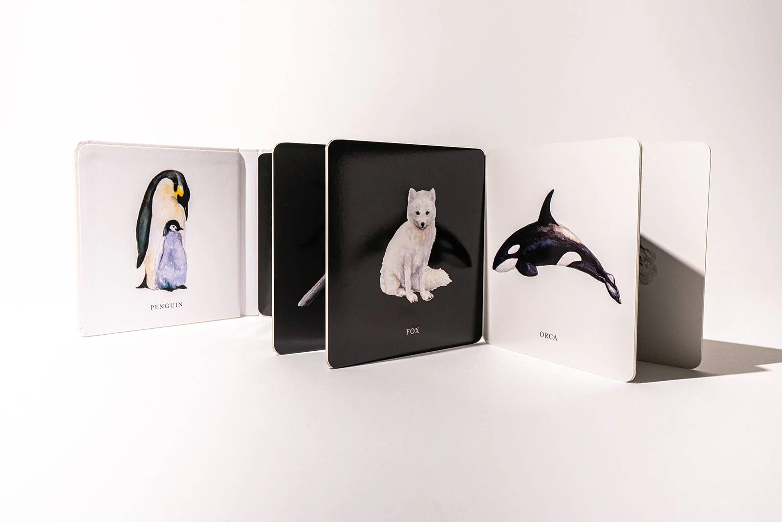 Black and White Contrast Book for Baby - Image 5