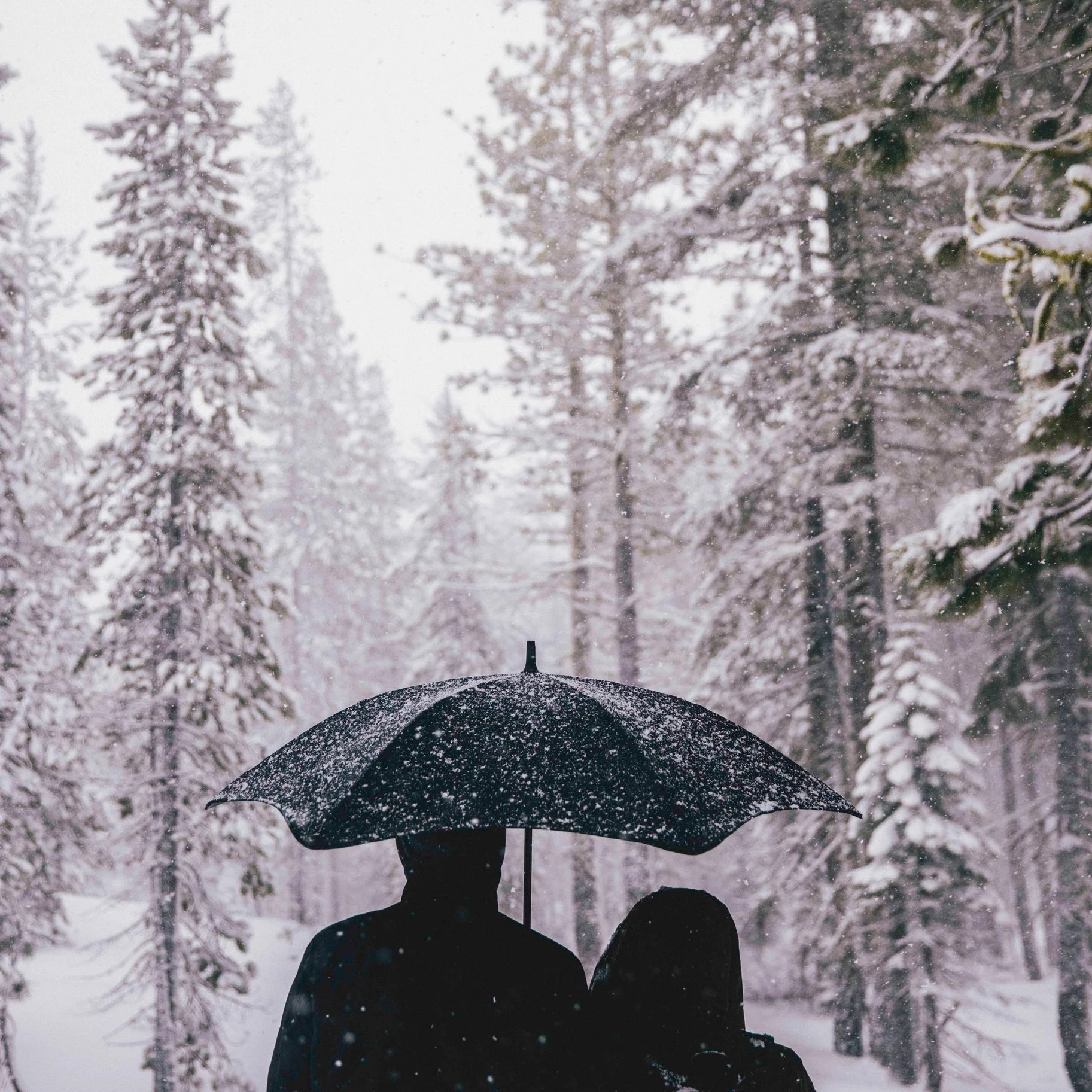 Classic Umbrella - Image 6