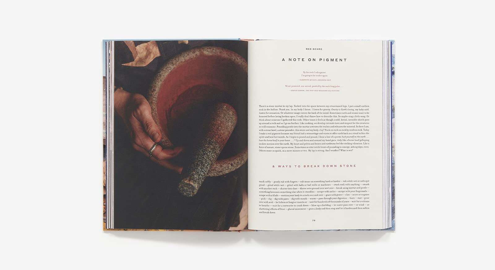 Book of Earth - Image 4