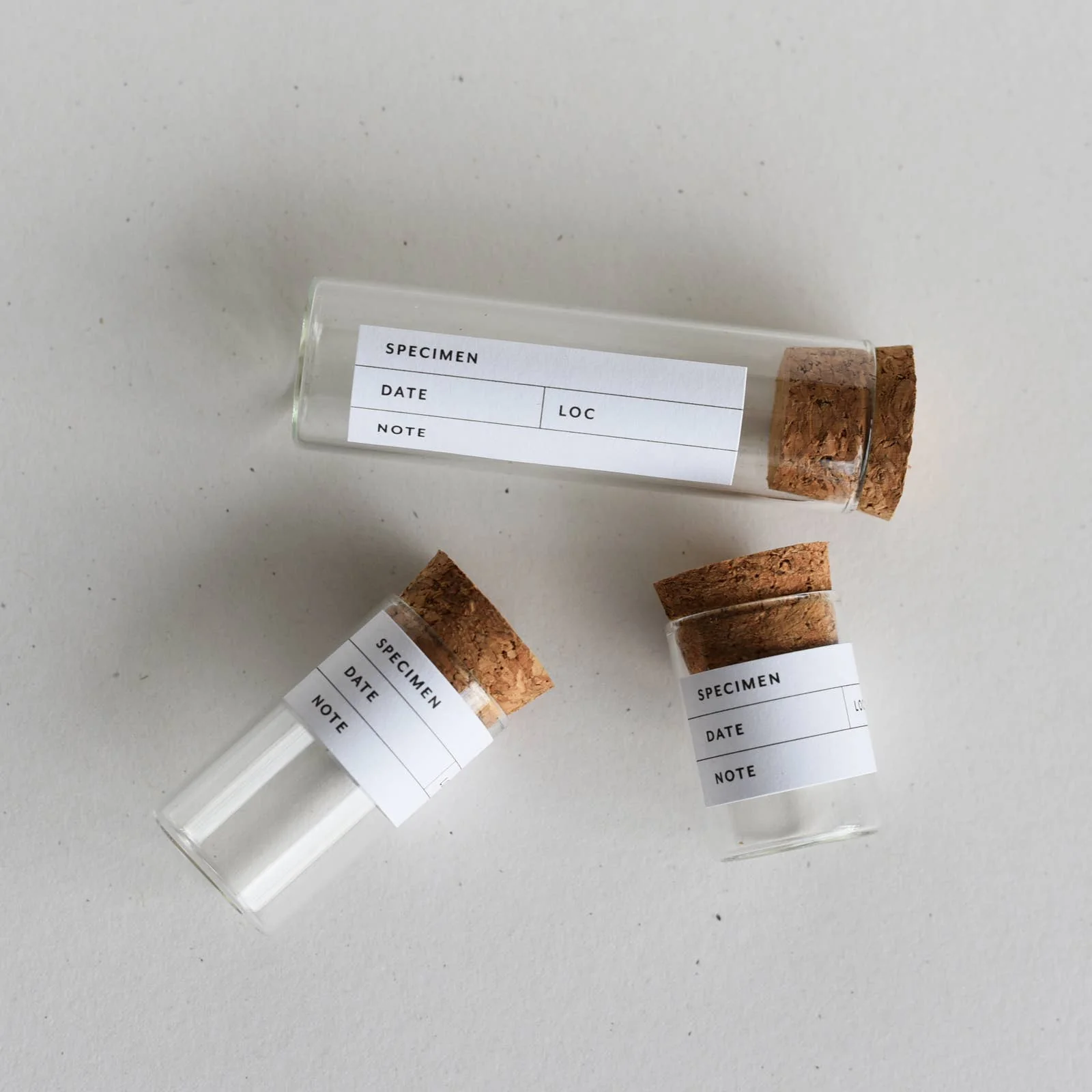 Botanical Specimen Labels, Set/36 - Image 4