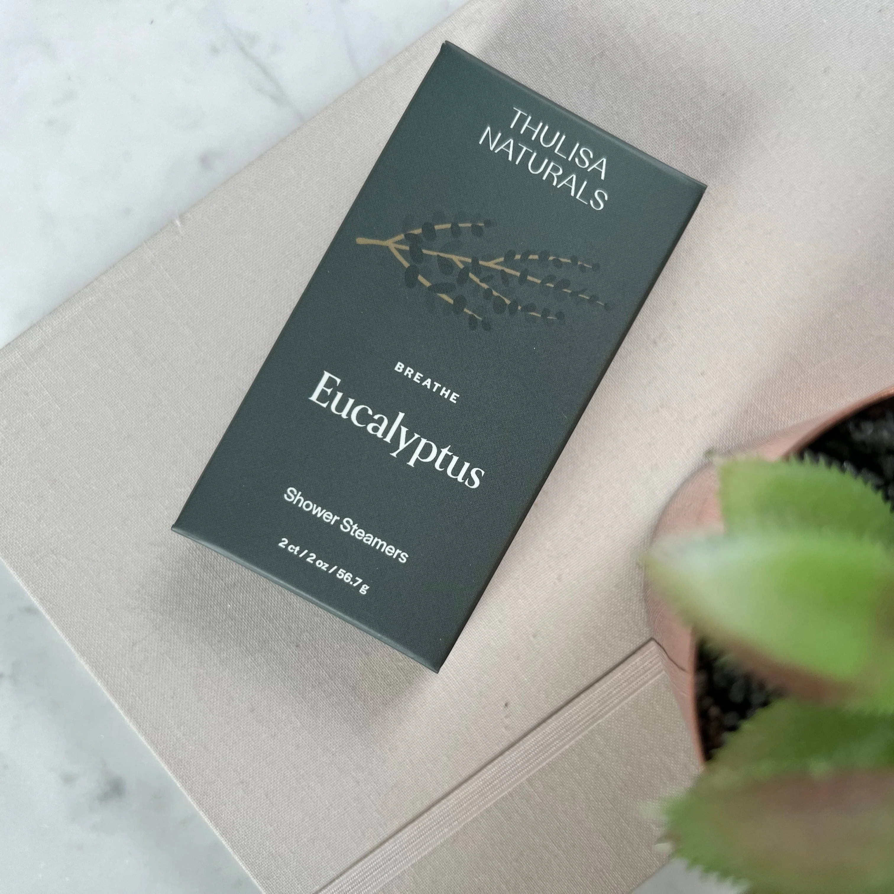 Eucalyptus Shower Steamers - Image 4