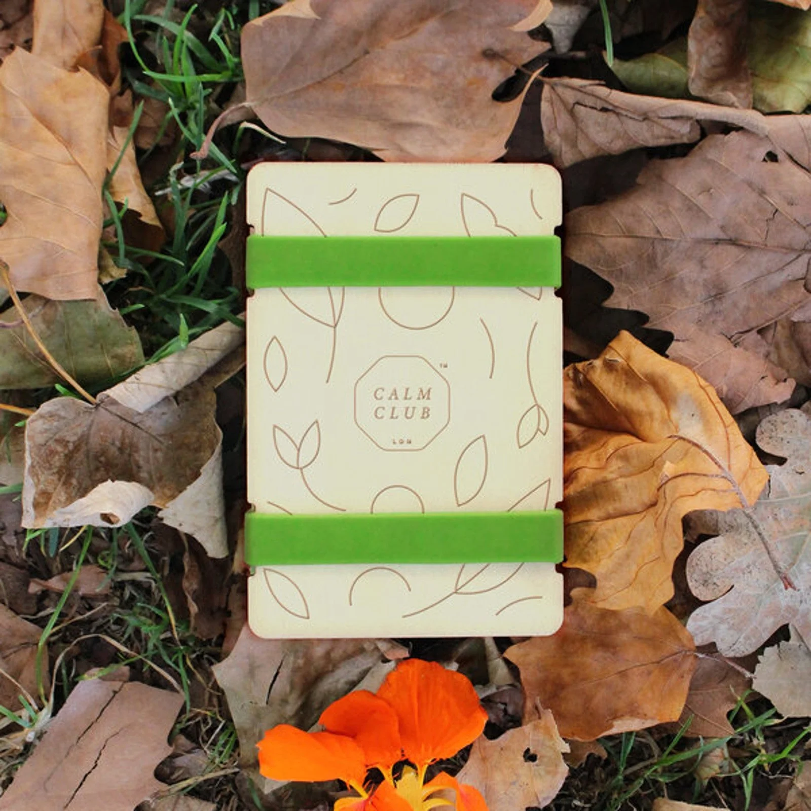 Pocket Flower Press - Image 5
