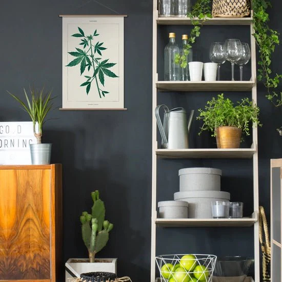 Modern Paint by Numbers Kit: Cannabis Botanical - Image 2