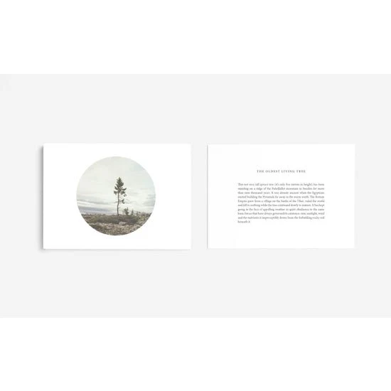 Cards for Perspective - Image 2