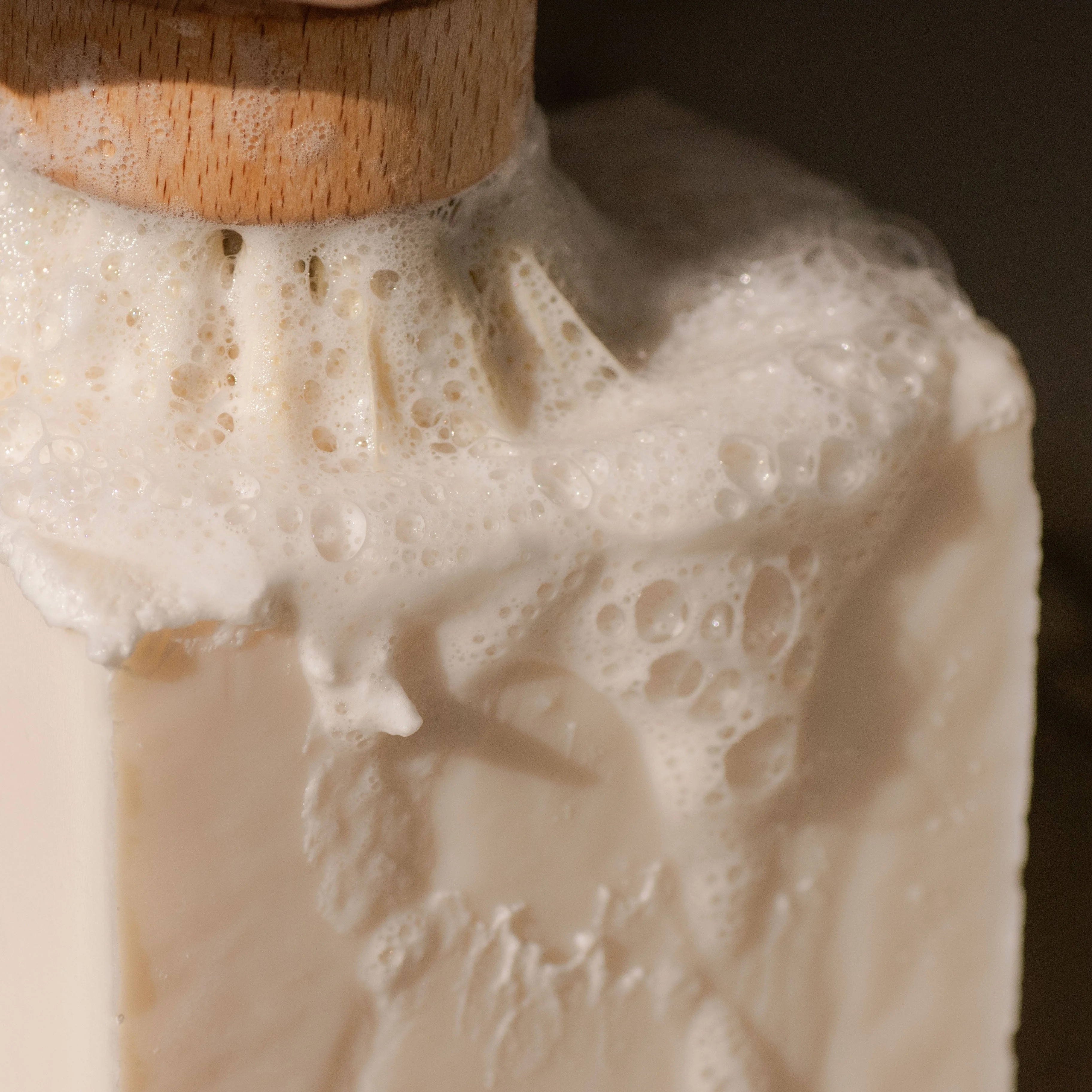 Casa Agave™ Dishwashing and Vegetable Hand Brush - Image 2