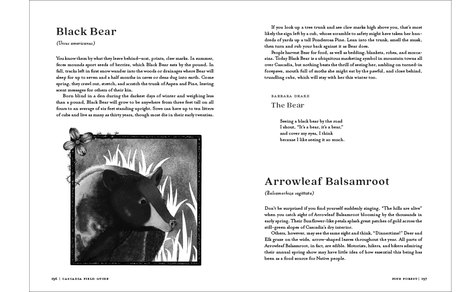 Cascadia Field Guide: Art, Ecology, Poetry - Image 10