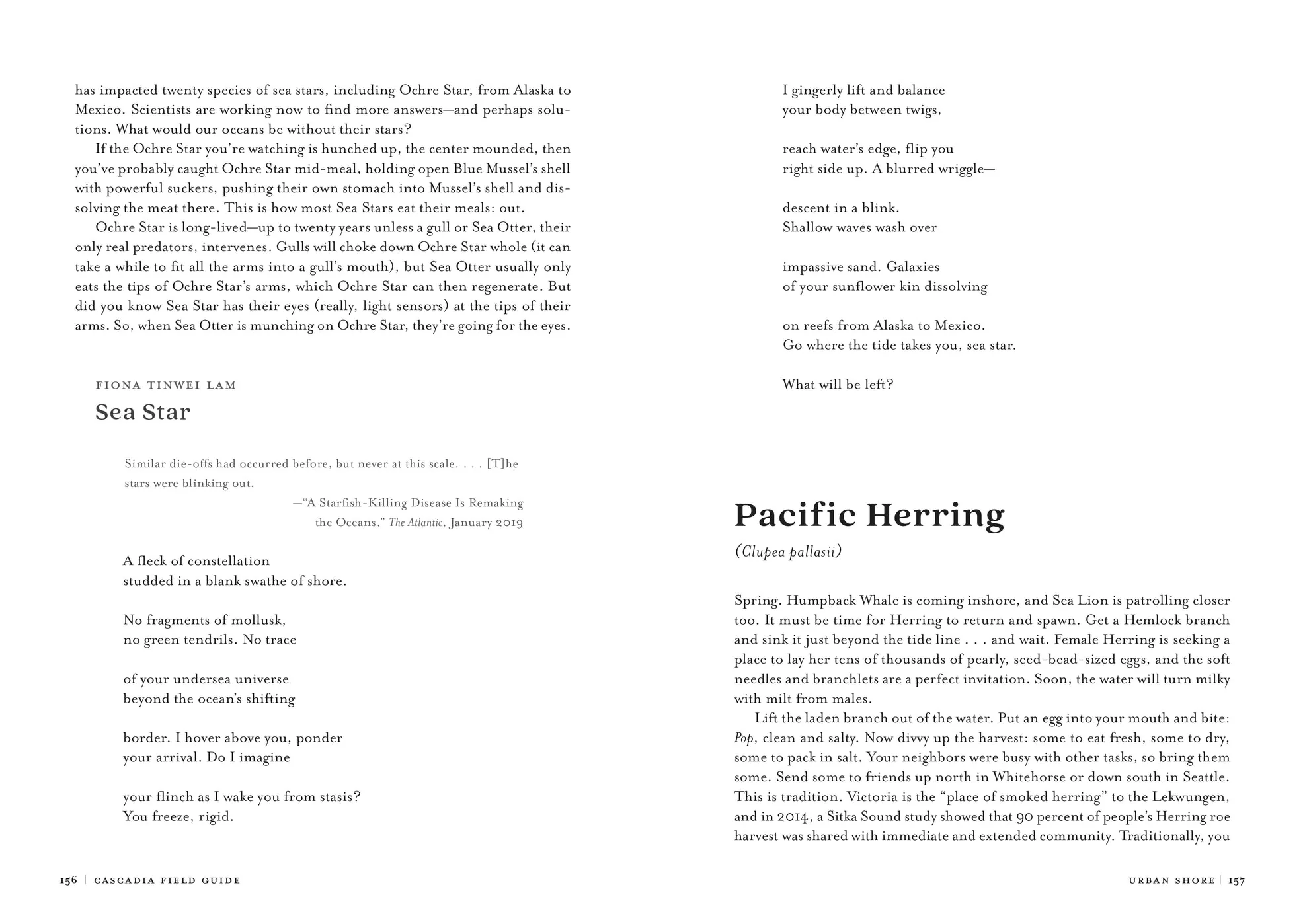 Cascadia Field Guide: Art, Ecology, Poetry - Image 2