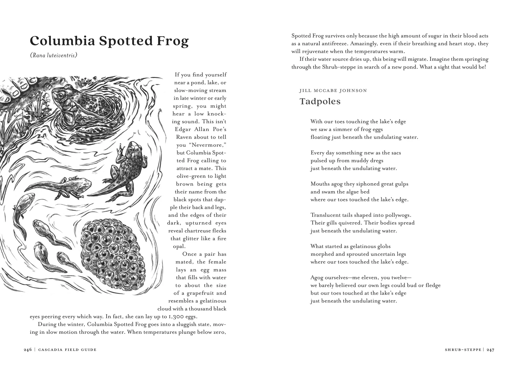 Cascadia Field Guide: Art, Ecology, Poetry - Image 4