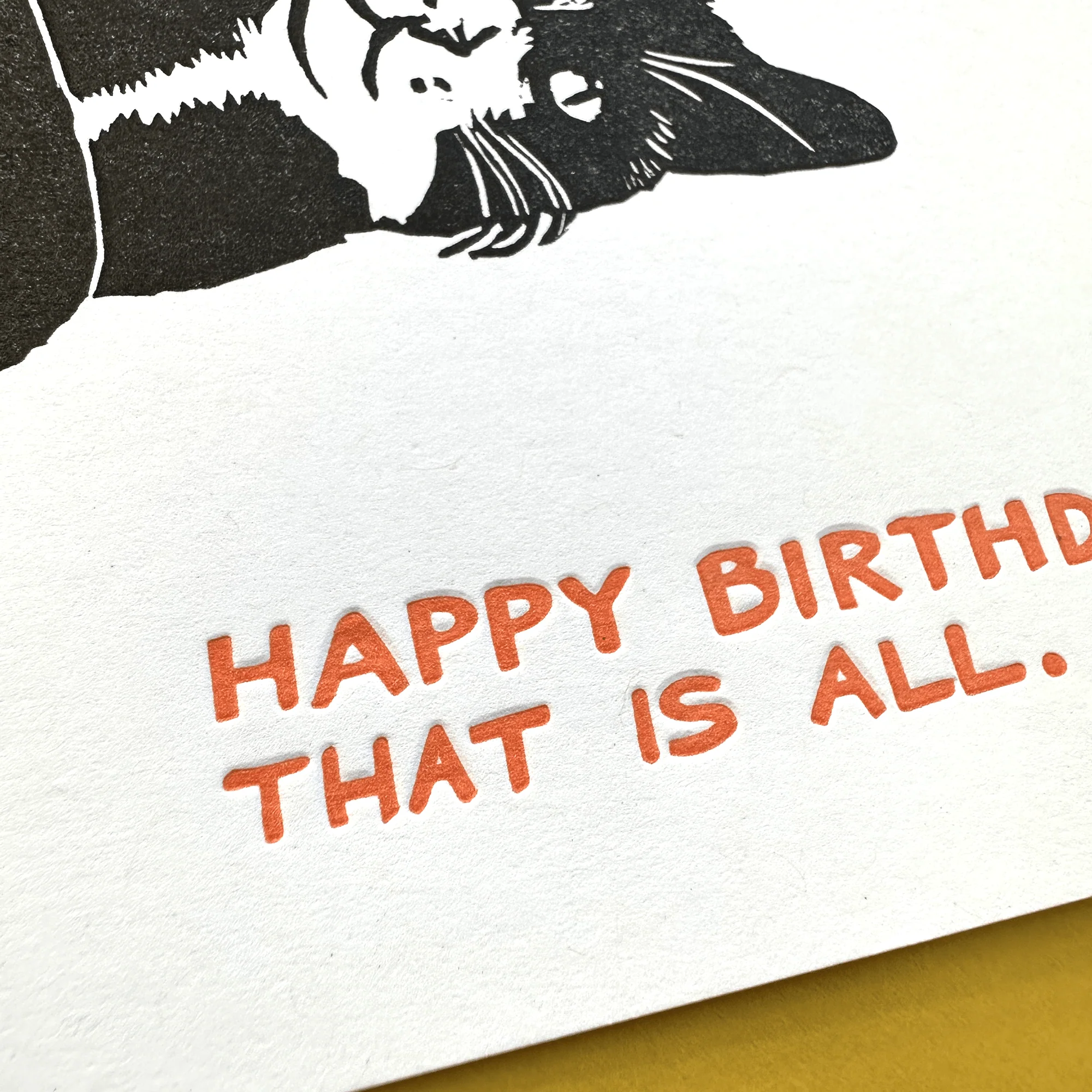 Tuxedo Cat Birthday Cat - Image 2