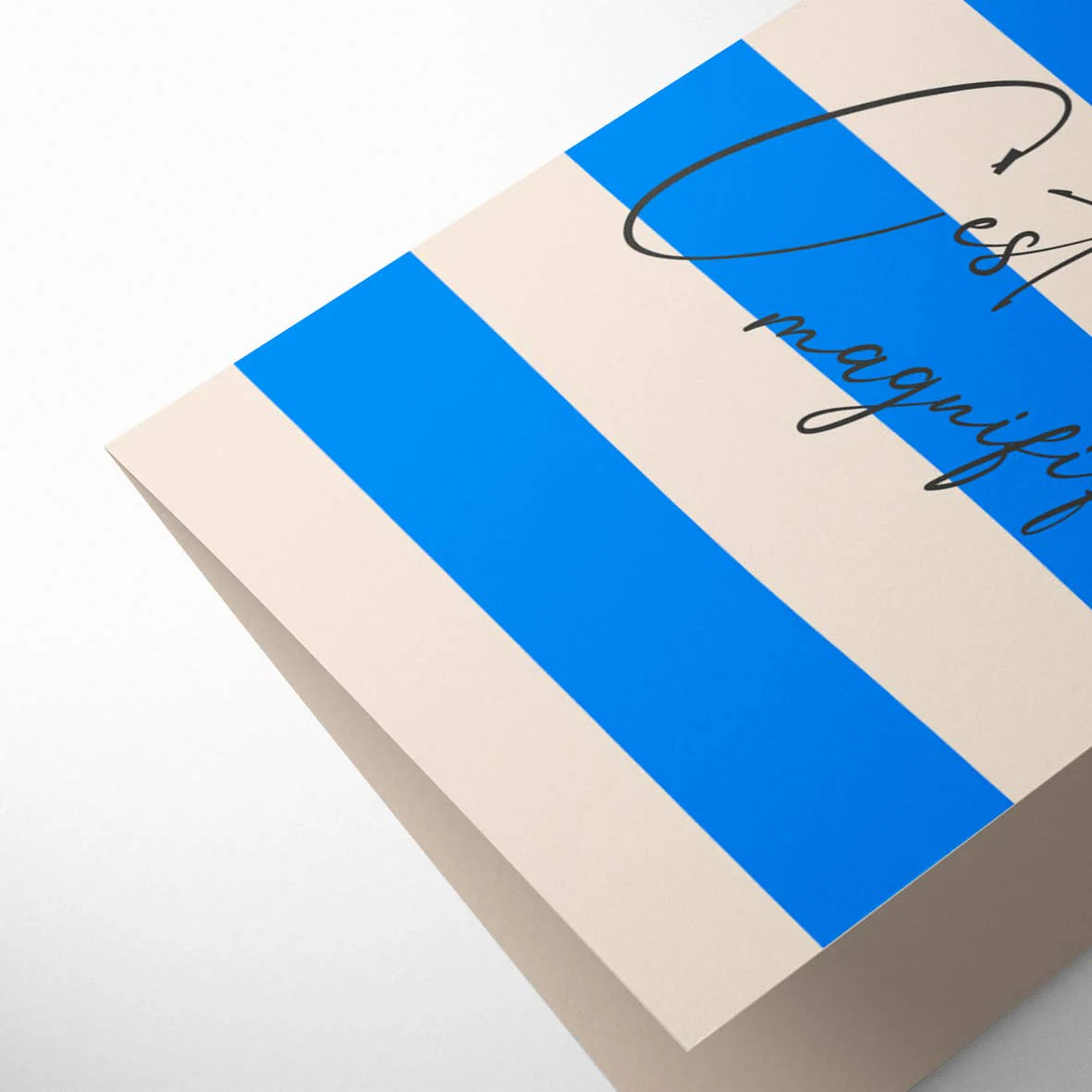 C'est Magnifique / It's Beautiful Card - Image 2