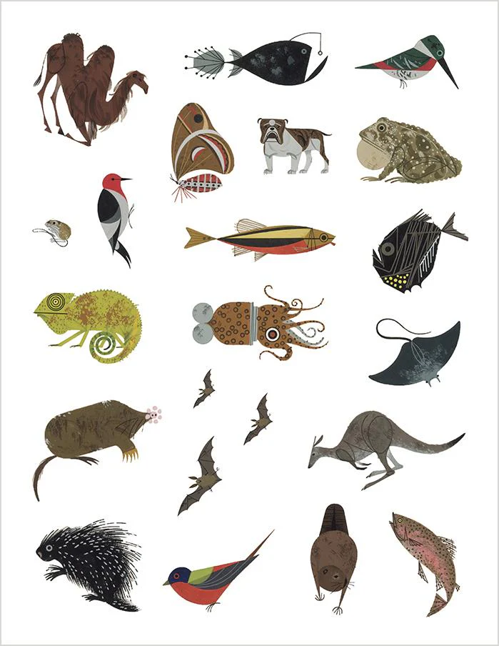 Charley Harper's Tree of Life Sticker Book - Image 2