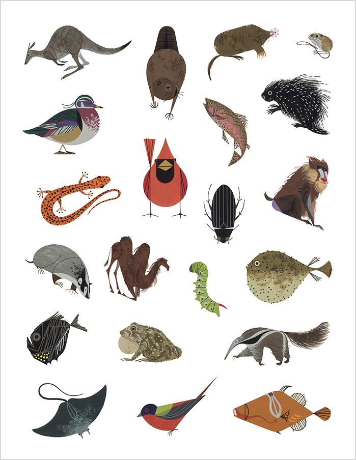 Charley Harper's Tree of Life Sticker Book - Image 3