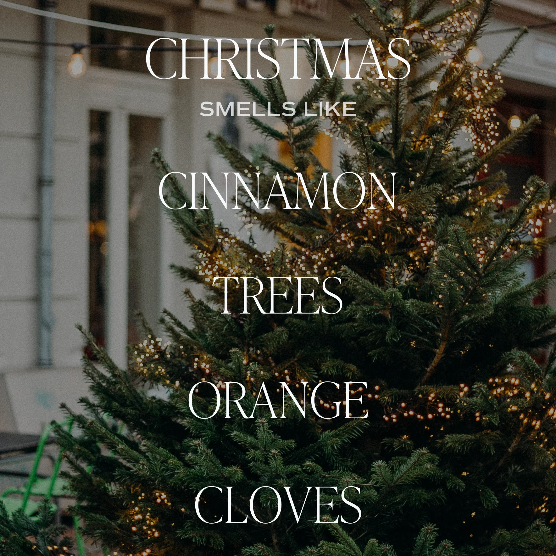 Christmas Reed Diffuser - Image 2