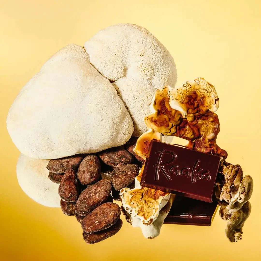 Cocoa Magic Mushroom Blend Hot Chocolate - Image 2