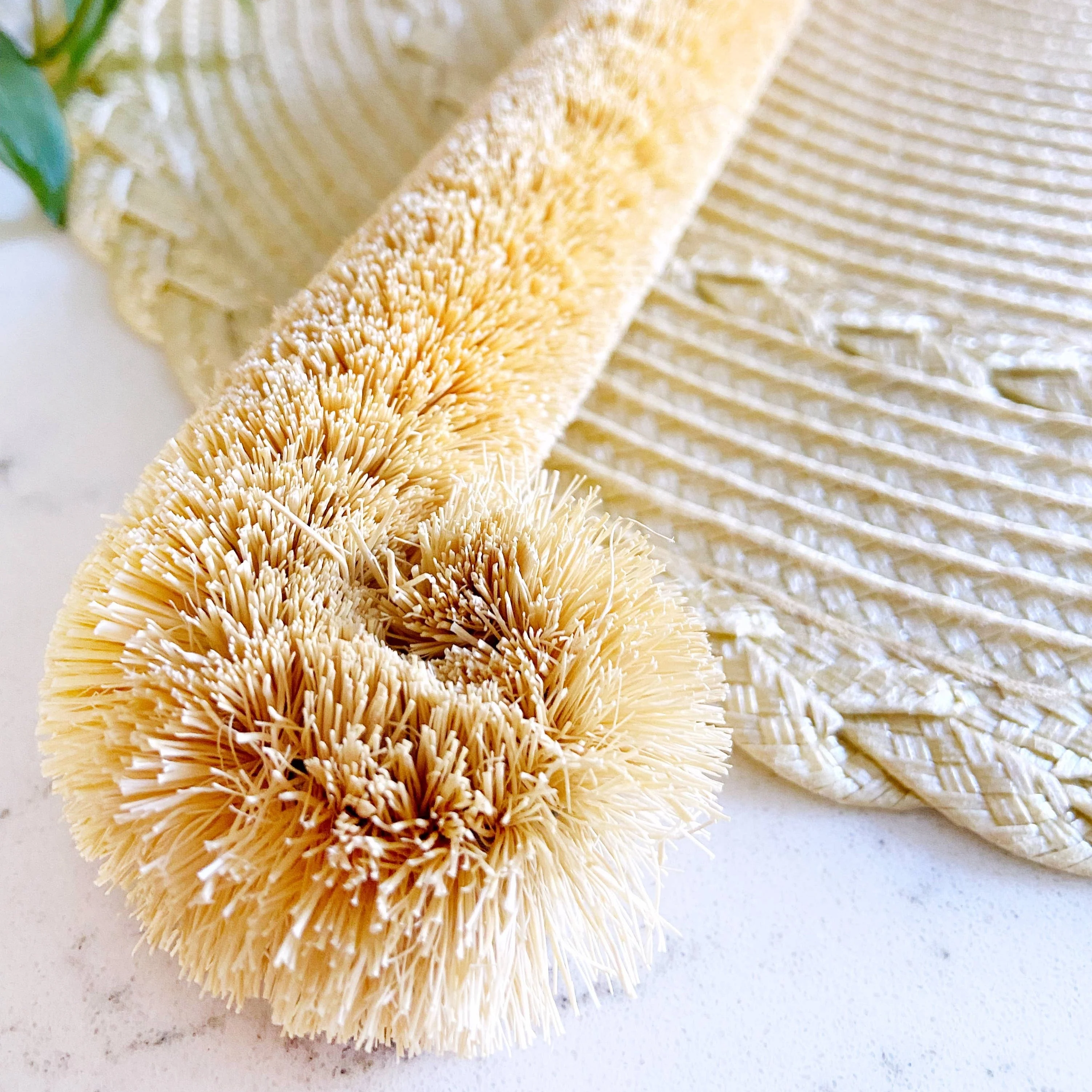 Coconut Bottle Cleaning Brush - Image 2
