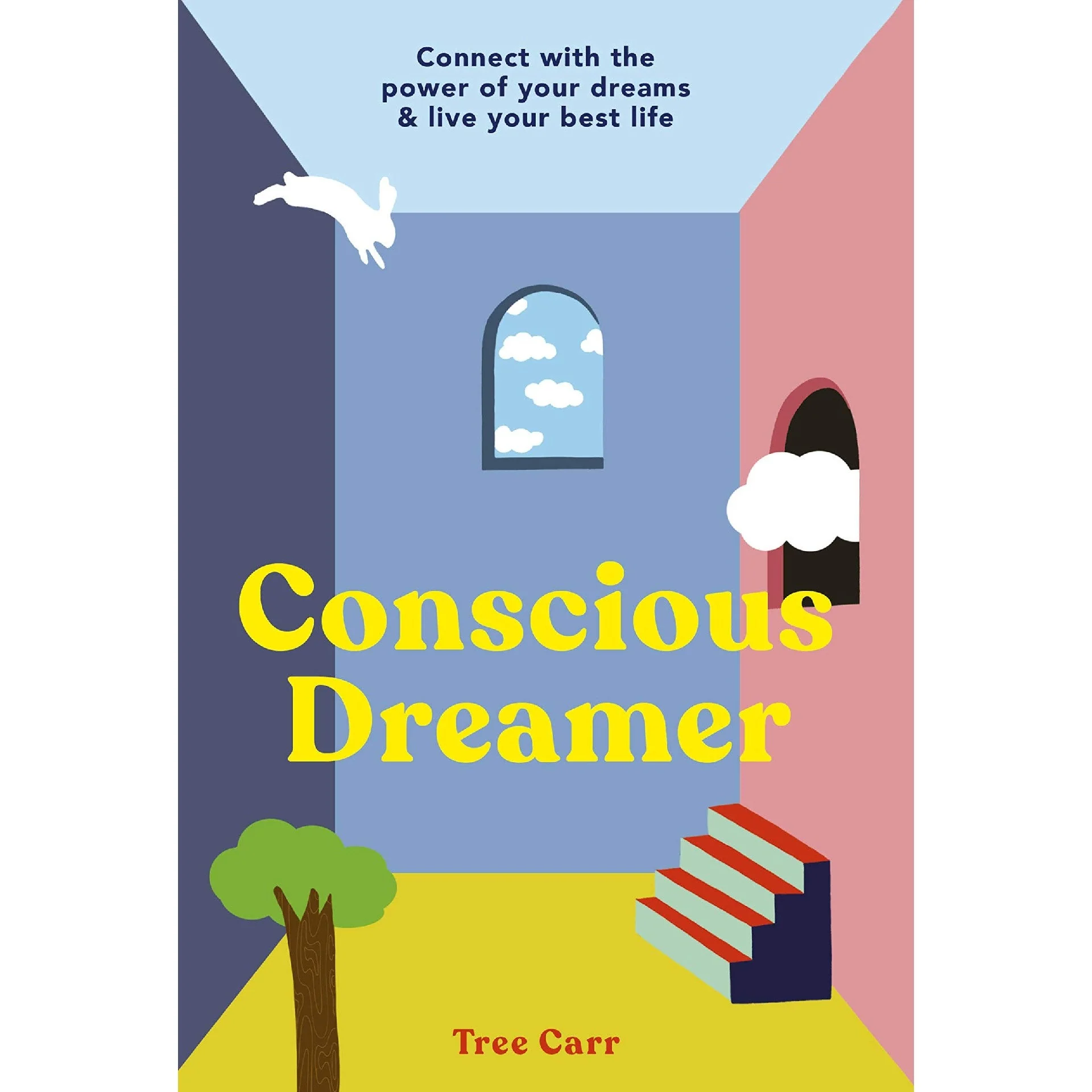 Conscious Dreamer