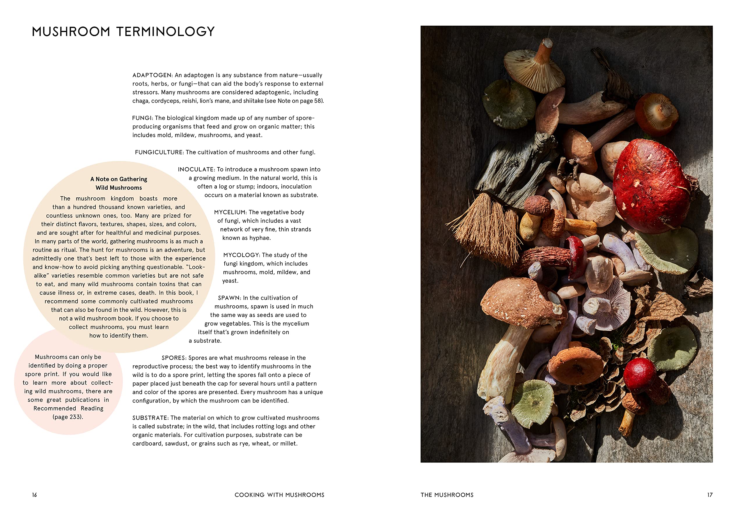 Cooking with Mushrooms - Image 2