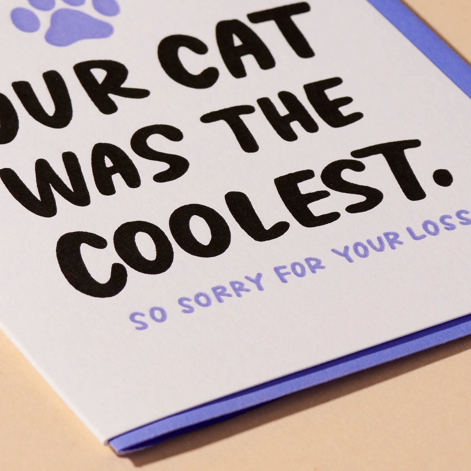 Coolest Cat Sympathy Card - Image 2