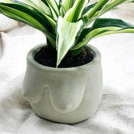 Hera Handmade Concrete Planter - Image 2