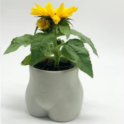 Eva Handmade Concrete Planter - Image 2