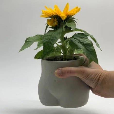 Eva Handmade Concrete Planter - Image 3