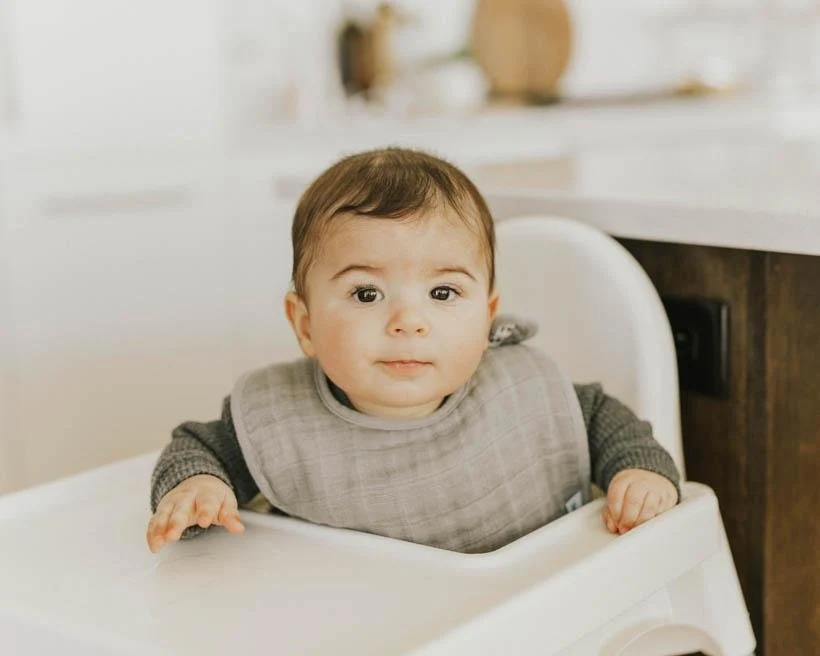 Cotton Muslin Classic Bib Set of 3: Fern - Image 2