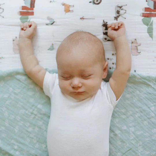 Cotton Muslin Swaddle: Misty Field - Image 2