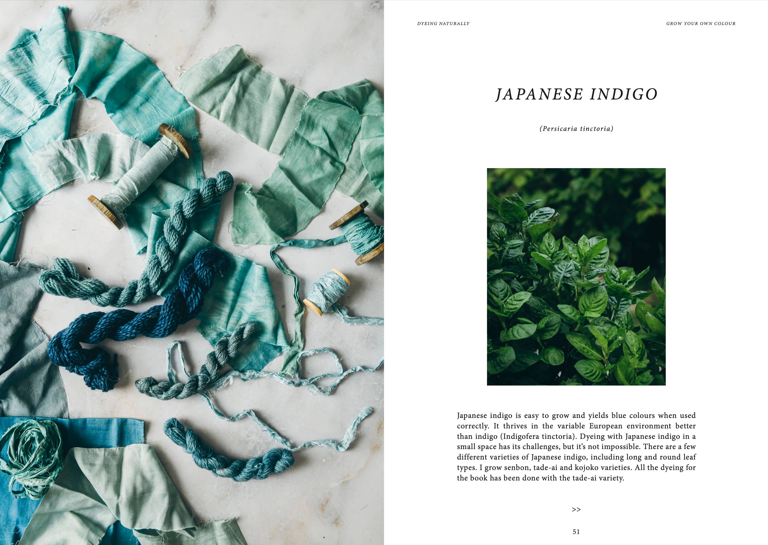 Dyeing Naturally - Image 10