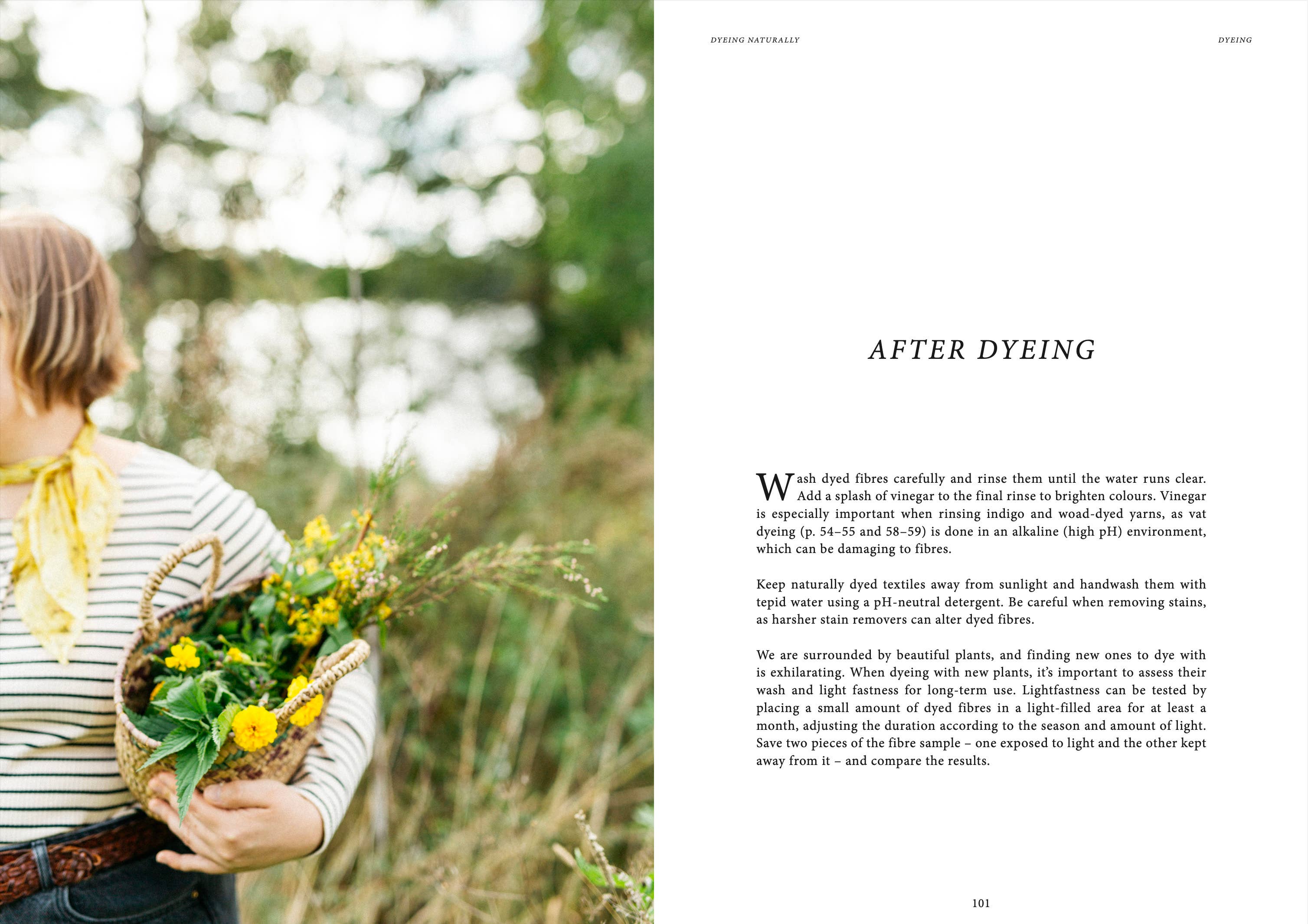 Dyeing Naturally - Image 6