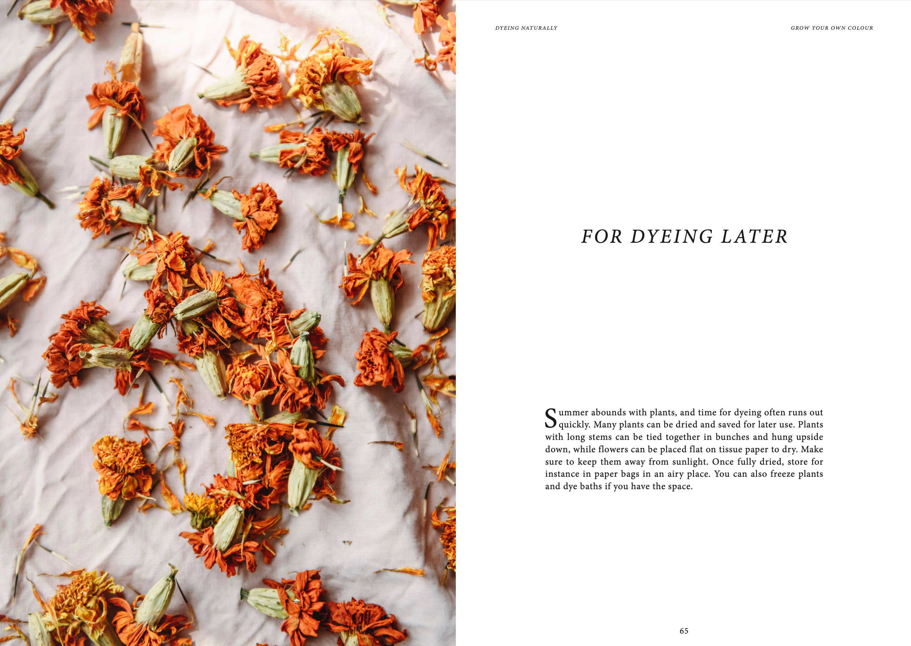Dyeing Naturally - Image 7