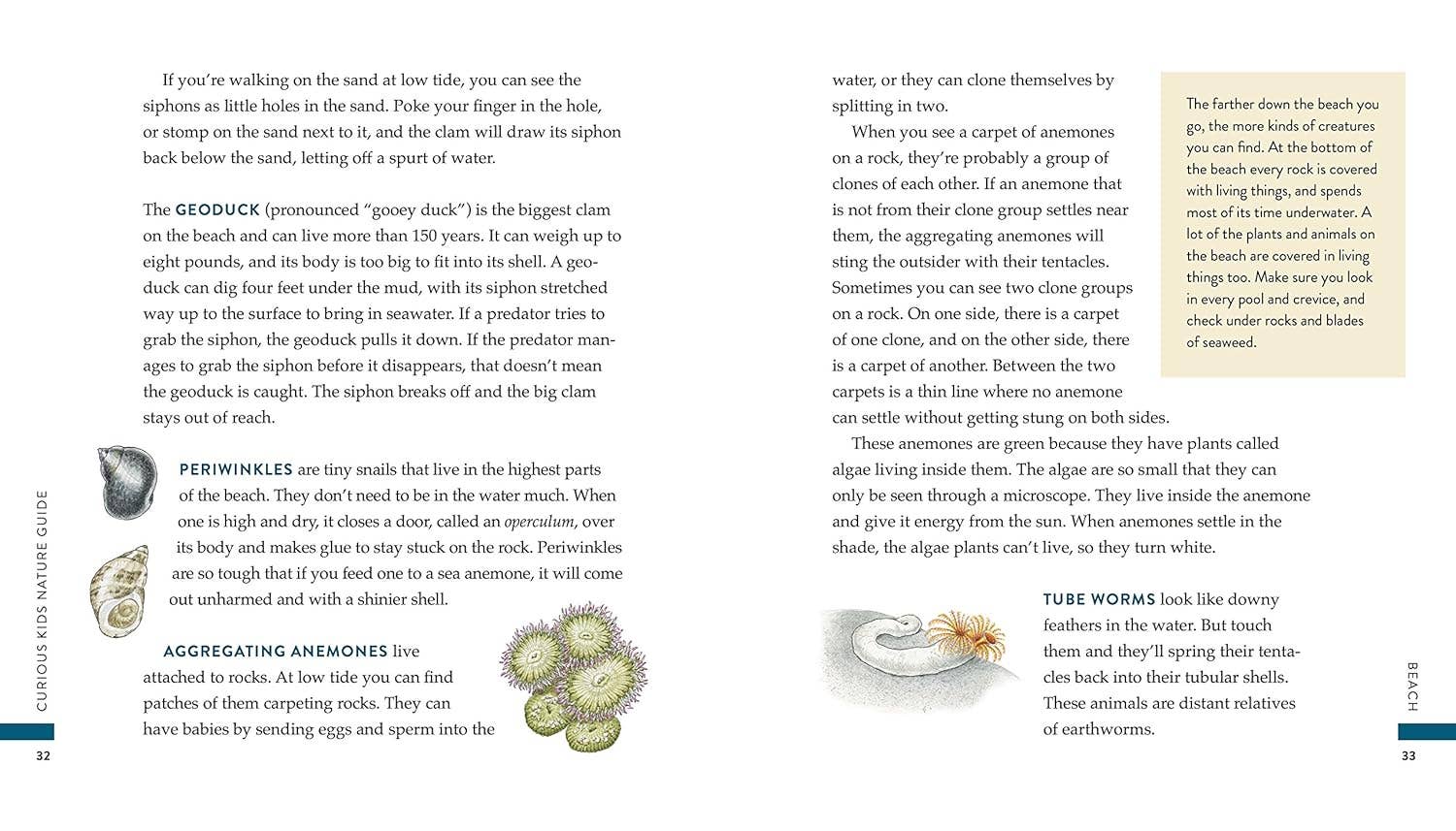 Curious Kids Nature Guide: Explore the Pacific Northwest - Image 3
