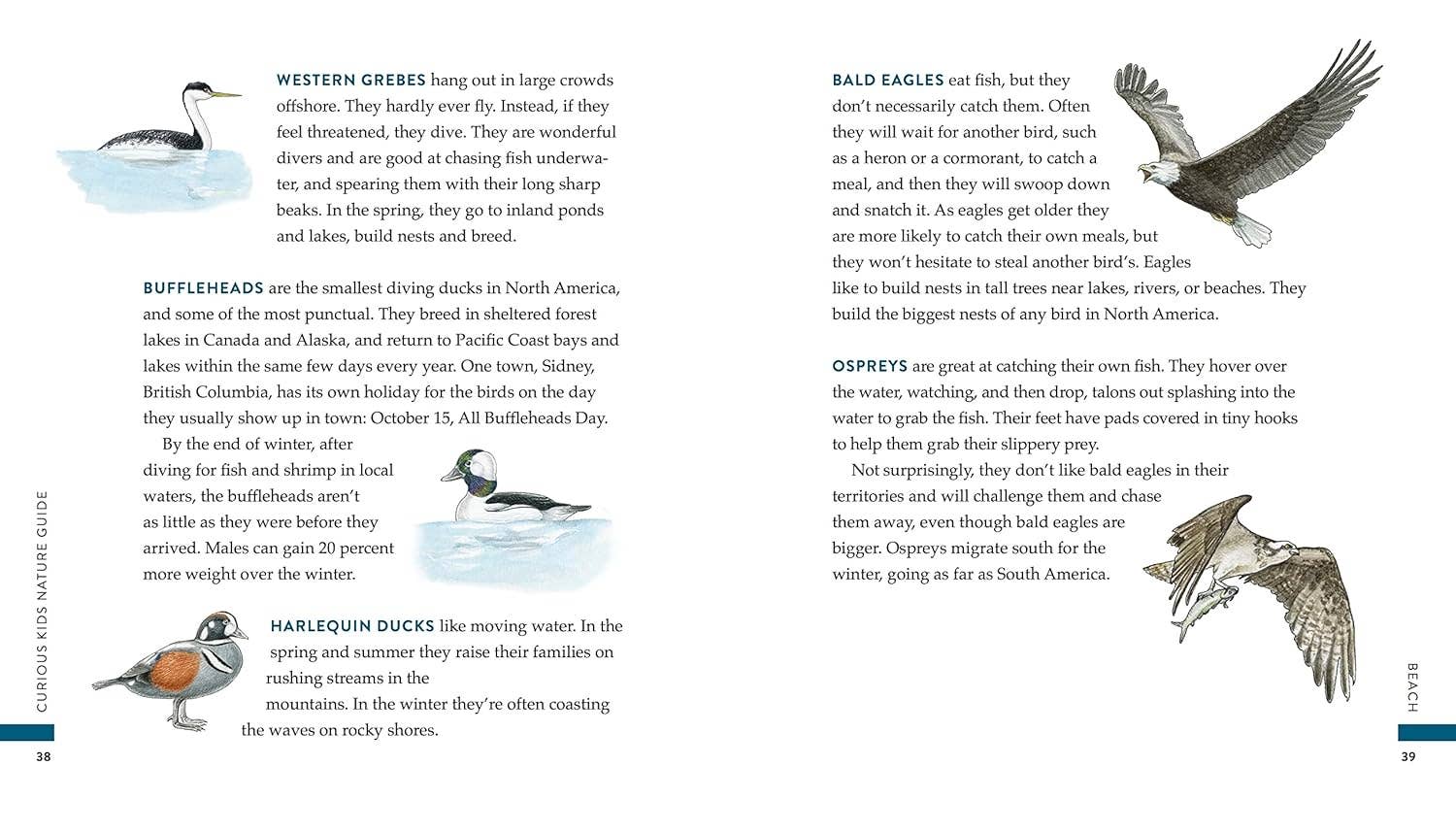 Curious Kids Nature Guide: Explore the Pacific Northwest - Image 4