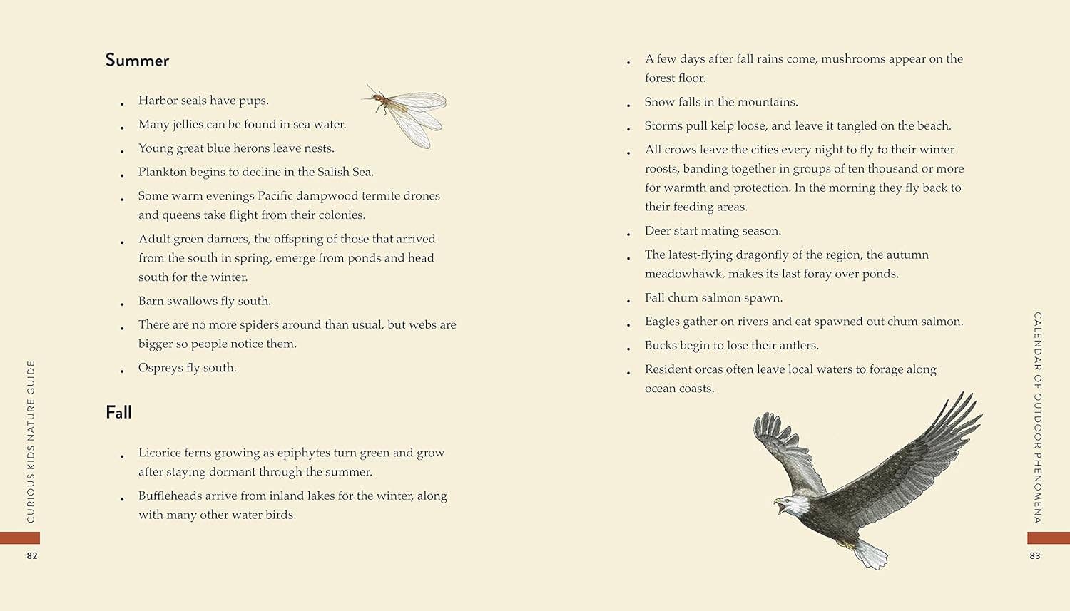 Curious Kids Nature Guide: Explore the Pacific Northwest - Image 7