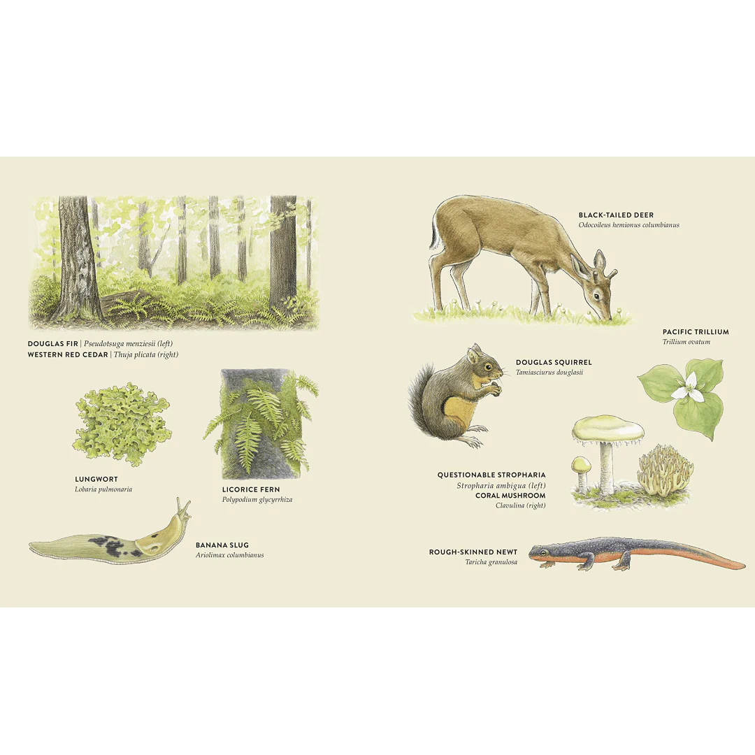 Curious Kids Nature Guide: Pacific Northwest - Image 2