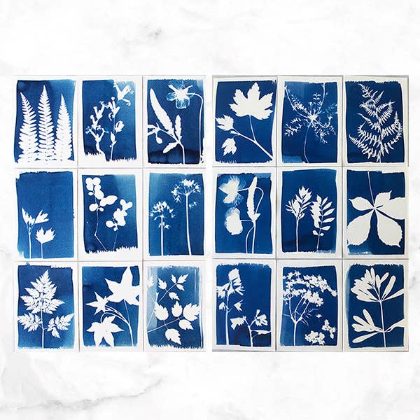 Cyanotype Kit - Image 8