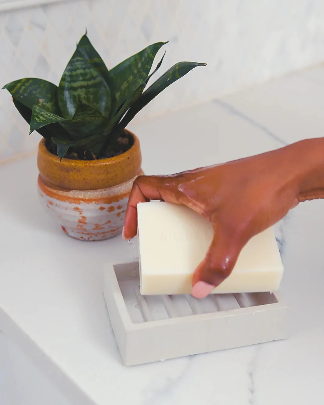 Dishbar: Eucalyptus - Image 3