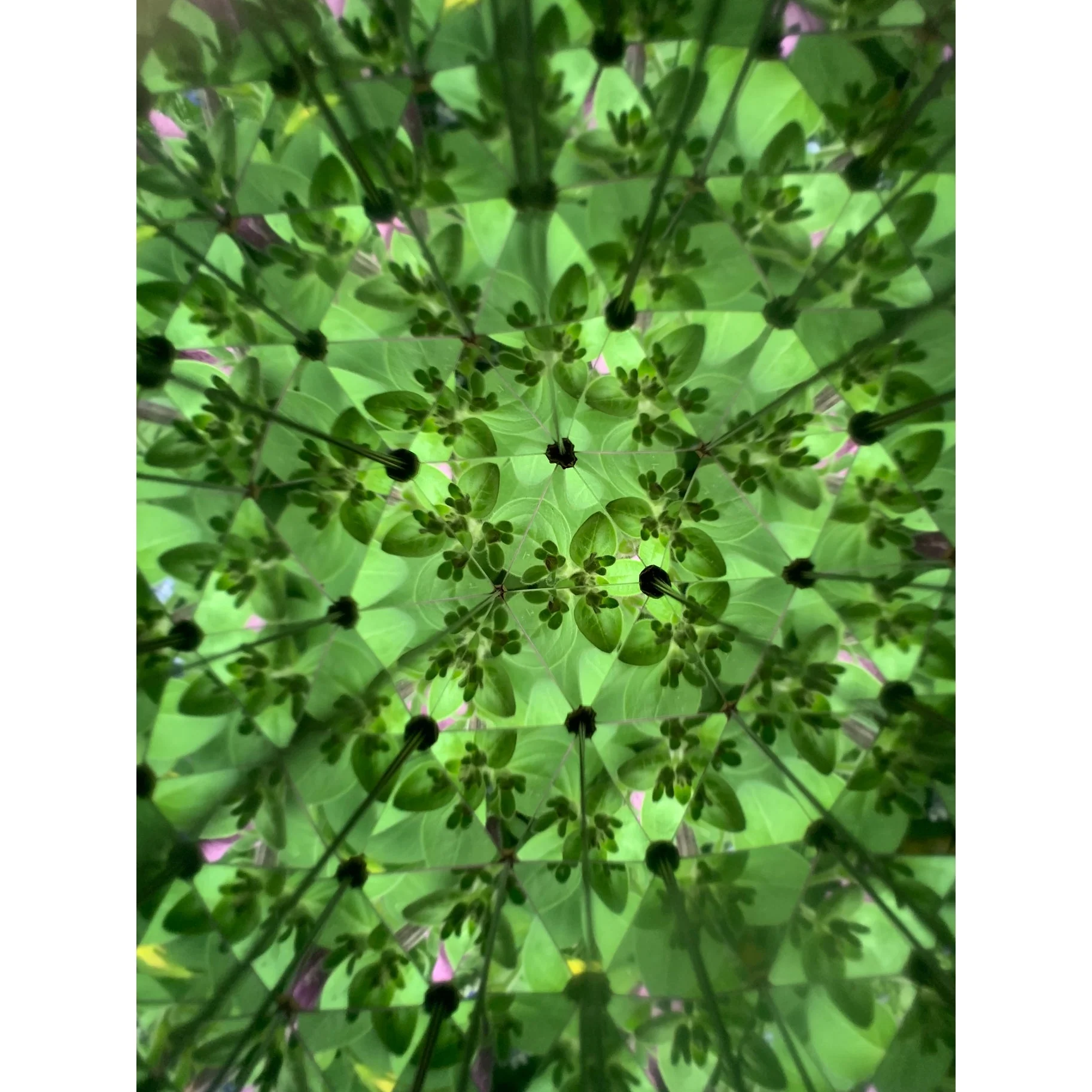DIY Kaleidoscope - Image 3