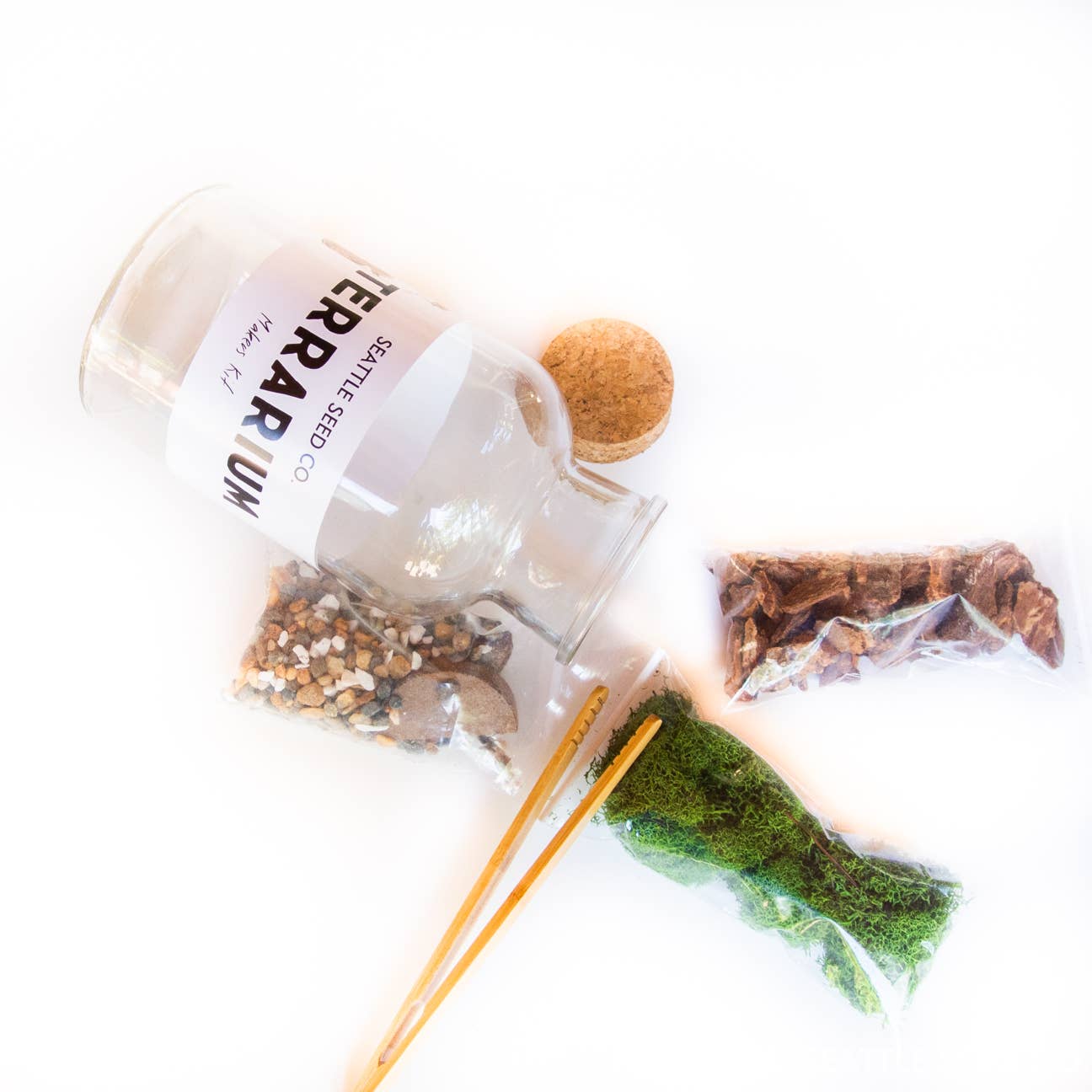 DIY Terrarium Kit - Image 2