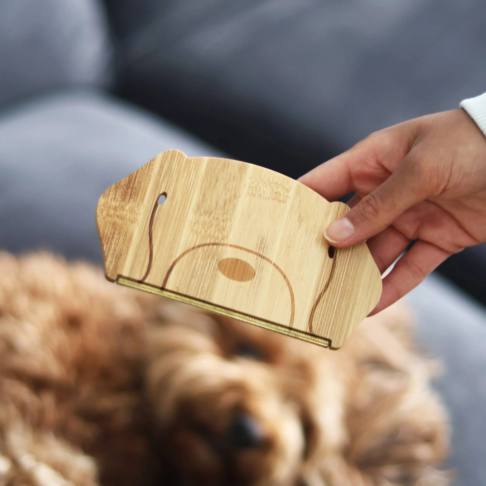 Dog Hair & Lint Remover - Image 5