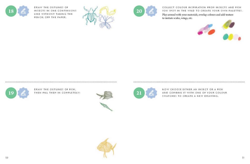 Drawing Nature: 100 Prompts, Projects and Playful Exercises - Image 7
