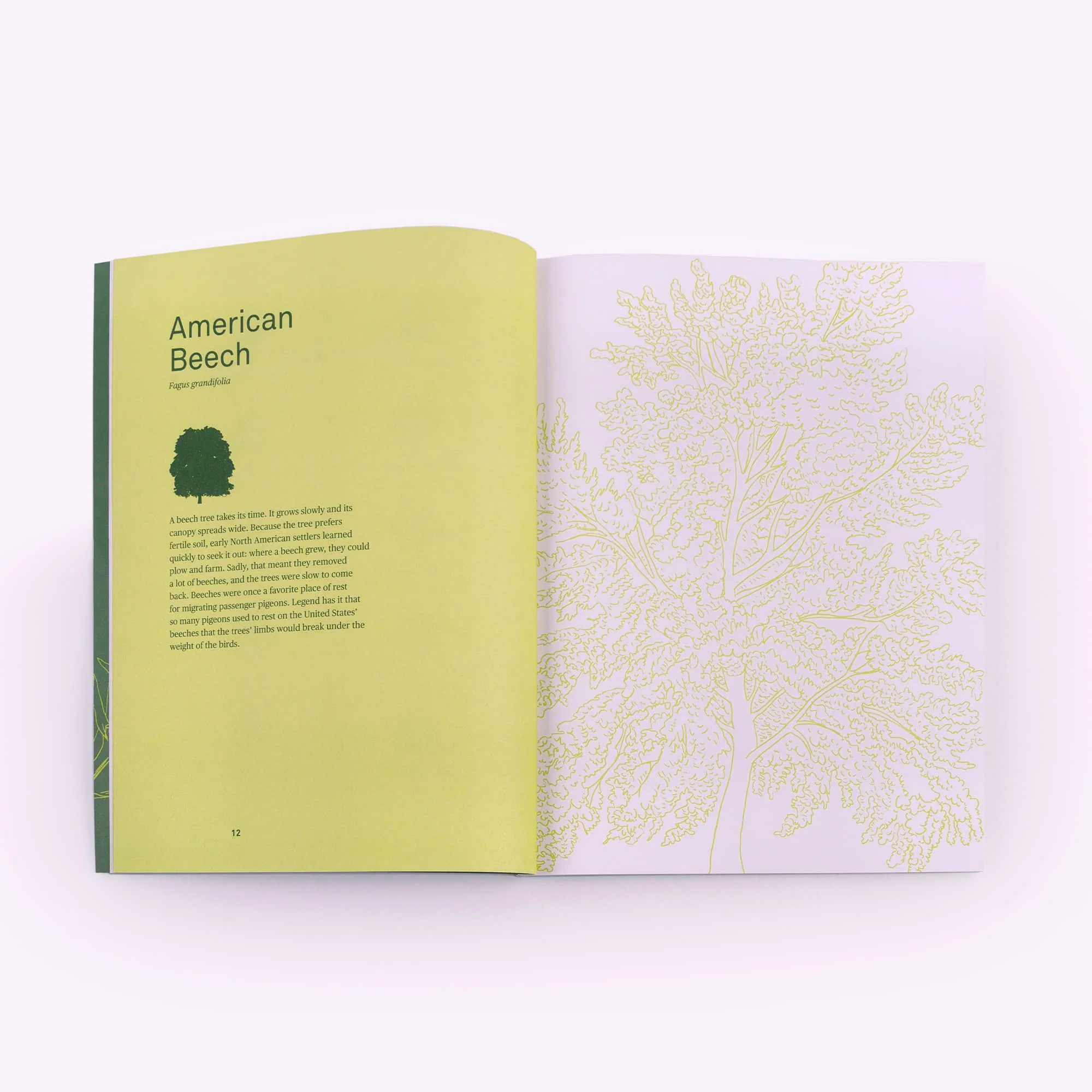 Drawing Trees - Image 2
