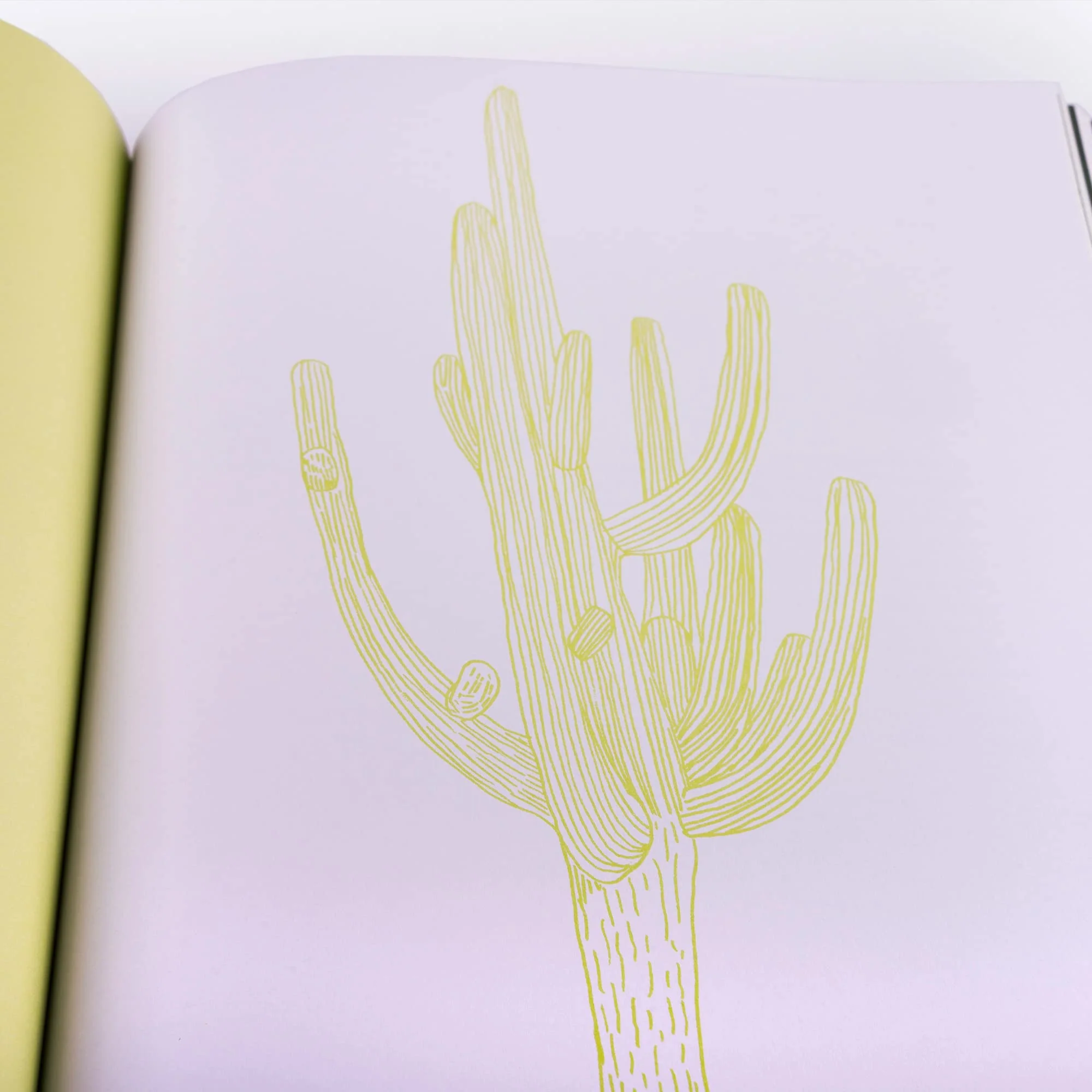 Drawing Trees - Image 4