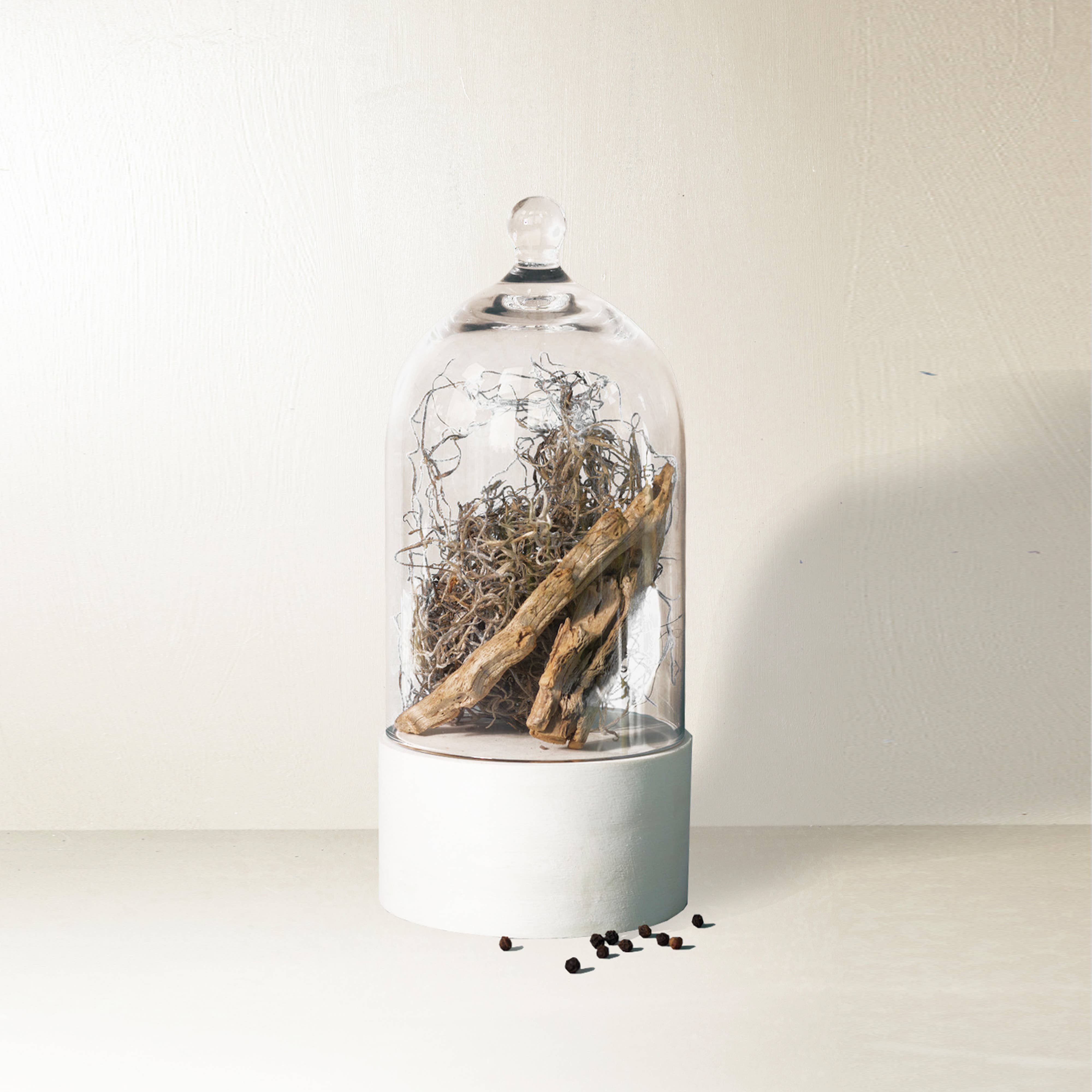 Dried Cedar + Moss Candle - Image 2