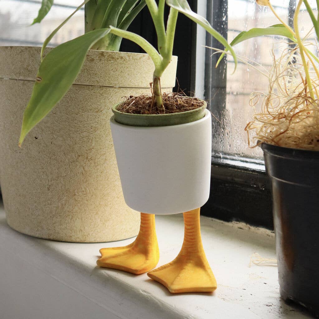 Duck Feet Planter - Image 2
