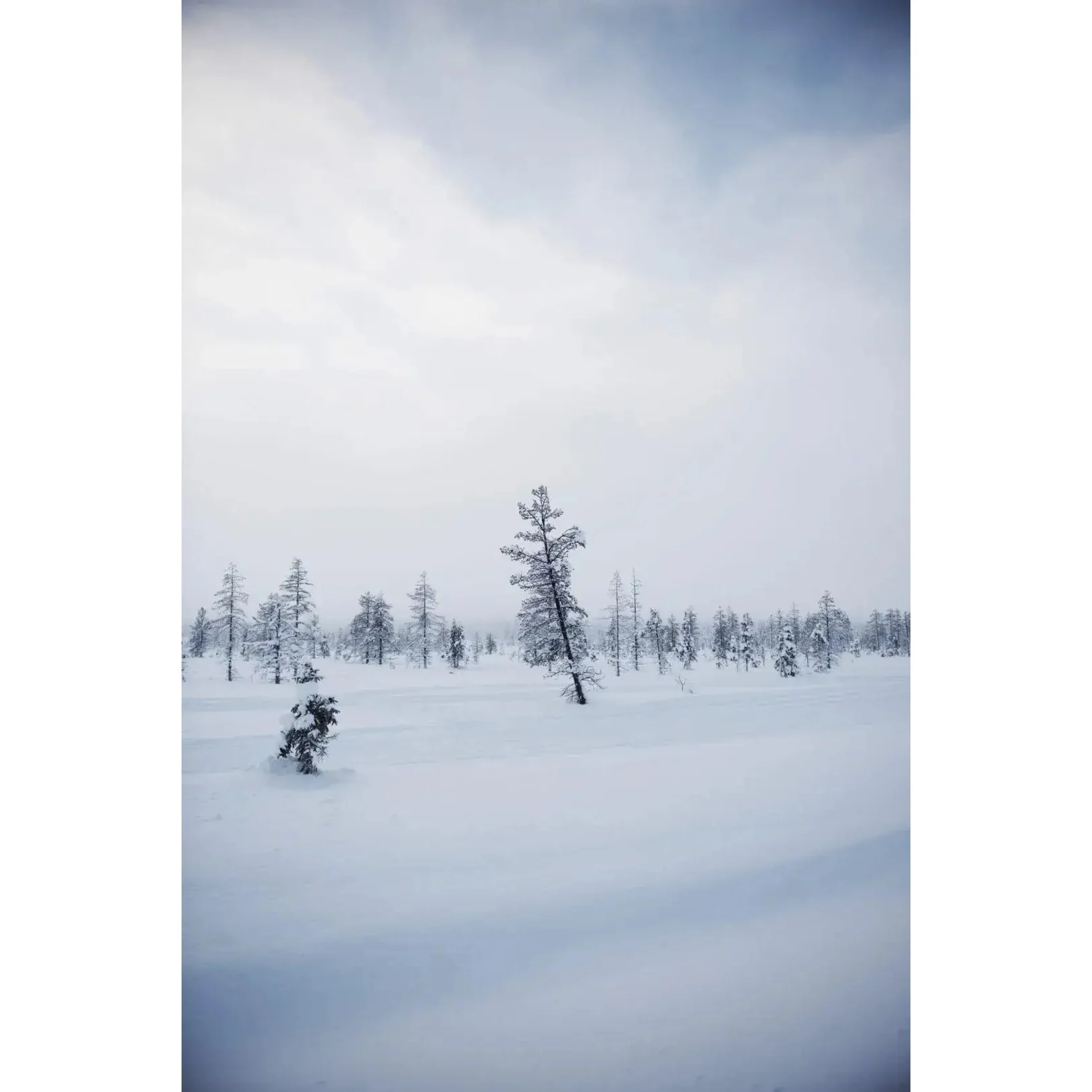 Eat Finland - Image 4