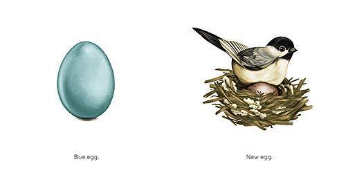 Egg - Image 2