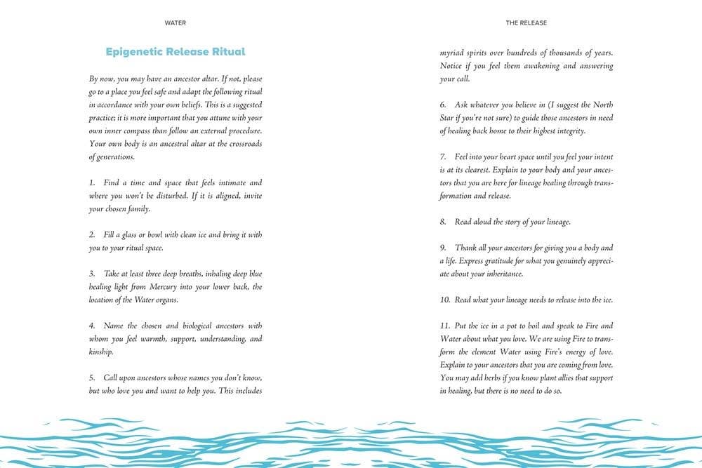 Elemental Healing: A 5-Element Path for an Aligned Life - Image 5