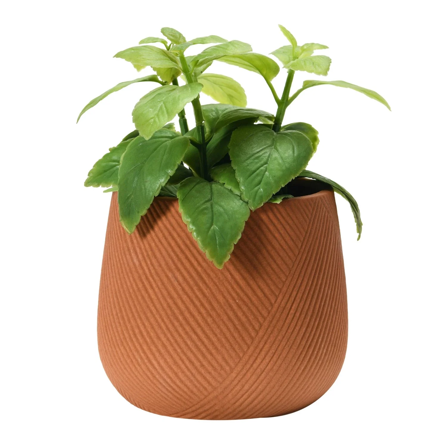 Engraved Terracotta Stoneware Planter - Image 3