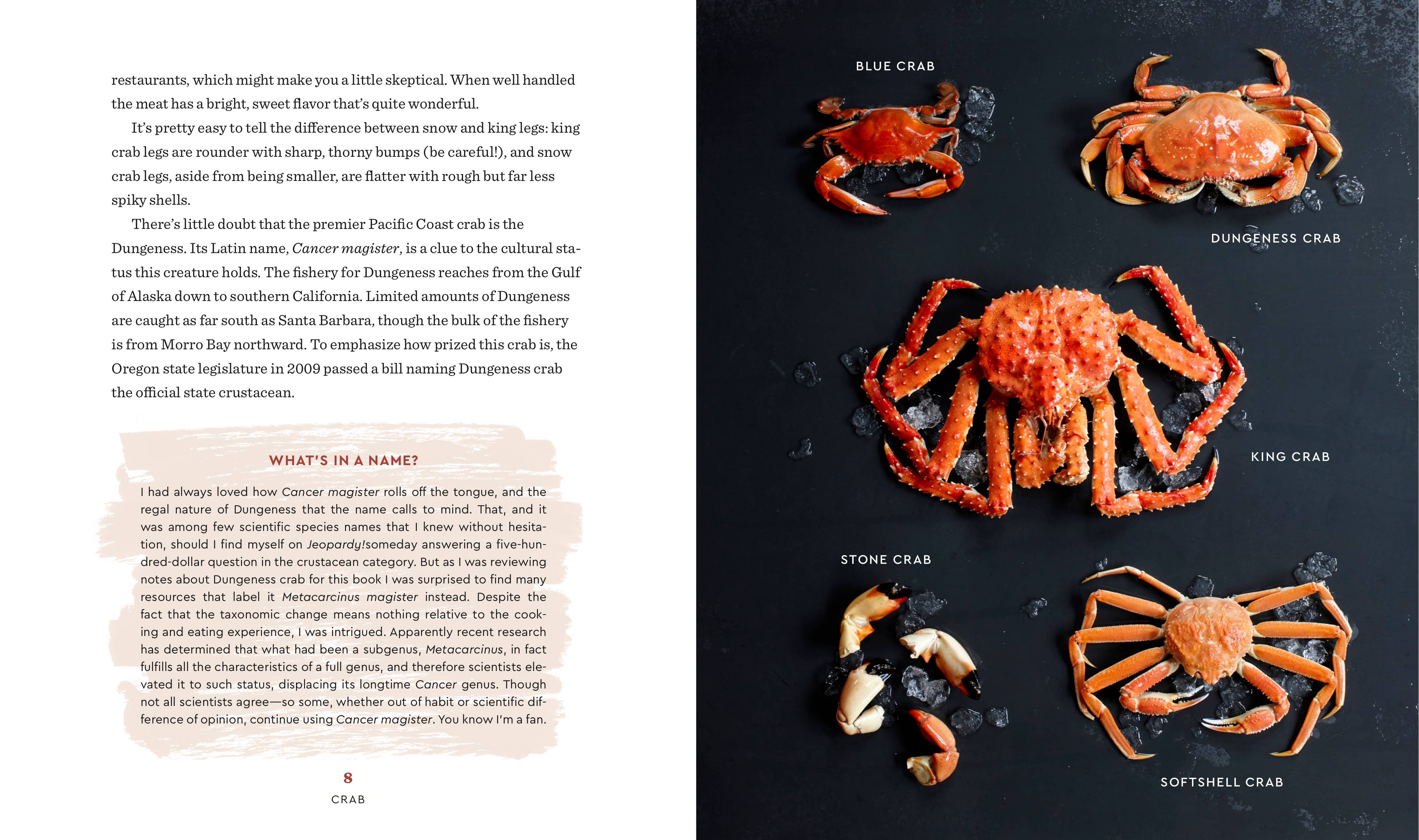 Essential Shellfish Collection 3-Book Box Set - Image 7