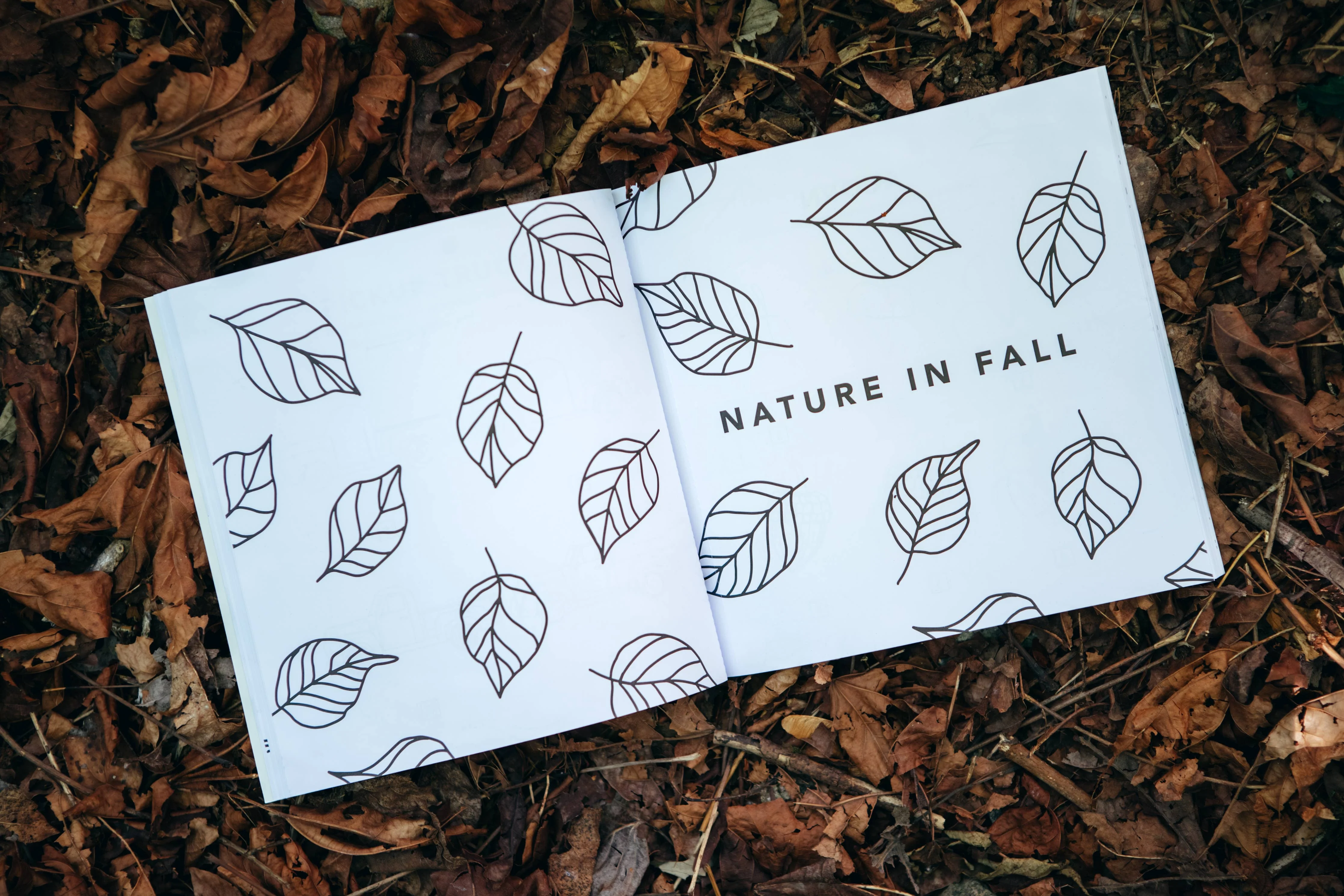 How to Draw Books for Kids: Fall Things - Image 6